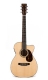 MARTIN 00C-16DBGTE: Natural Gloss Top, Roland AP-1,