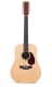 MARTIN D12X1AE: Natural Satin