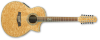 Ibanez EW2012ASE