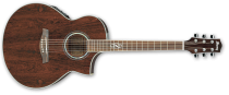 Ibanez EW20WNE