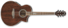 Ibanez EW20WNE