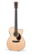 MARTIN OMC-16GTE: Natural Gloss Top, Roland AP-1,
