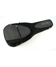 Ritter Cases RP2000-C