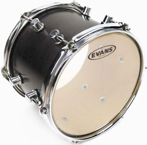 Evans G-Plus Clear 16"
