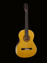 Francisco Bros Solea (Luthier model)